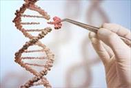 تحقیق بررسی علم ژنتیک از تولد تاکنون
